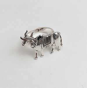 Nandi Ring