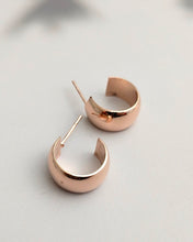 Silver rose gold plated  earrings